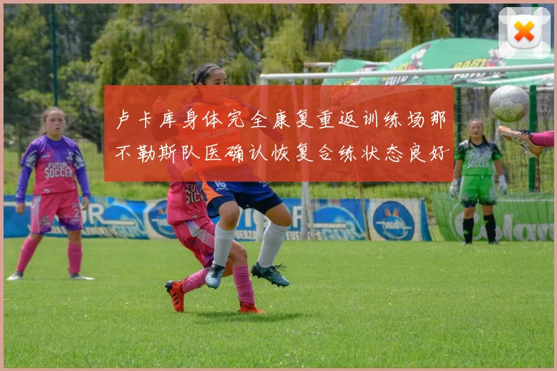 卢卡库身体完全康复重返训练场那不勒斯队医确认恢复合练状态良好