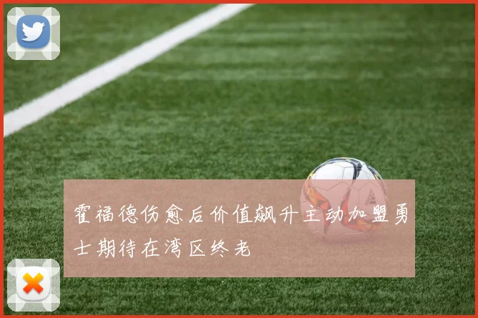霍福德伤愈后价值飙升主动加盟勇士期待在湾区终老