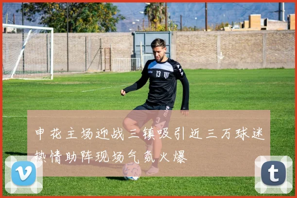 申花主场迎战三镇吸引近三万球迷热情助阵现场气氛火爆